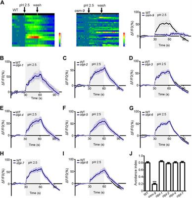 Nematode homologs of the sour taste receptor Otopetrin1 are evolutionarily conserved acid-sensitive proton channels